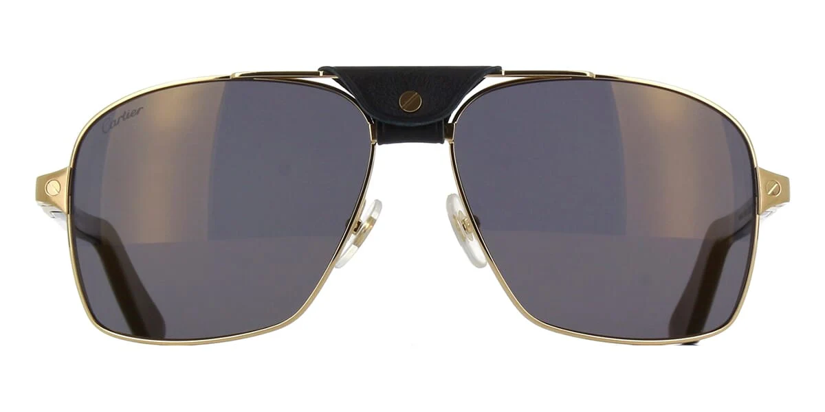 Replica Cartier Buffalo Horn CT0389S 003 9MB Polarised