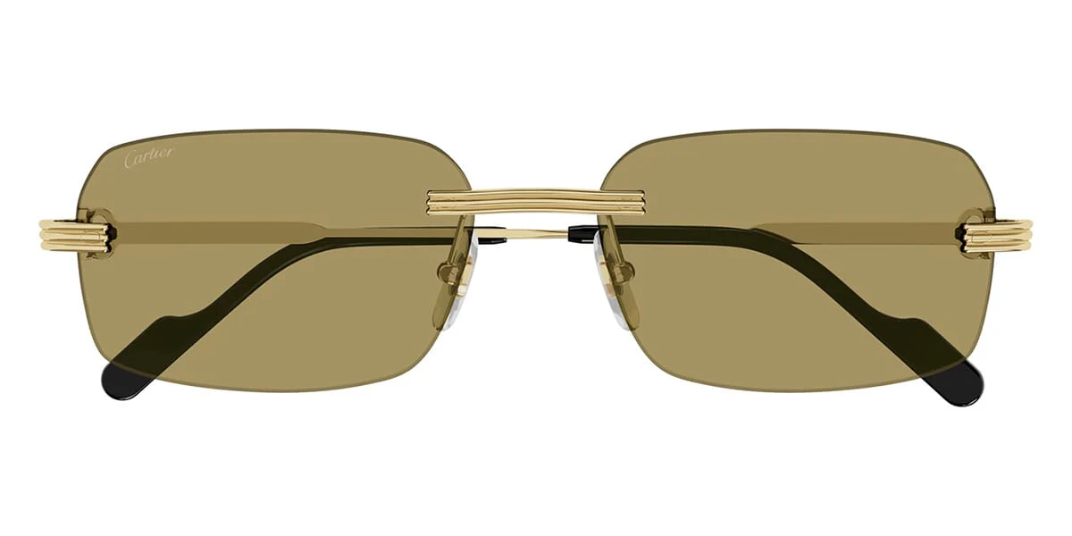 Replica Cartier CT0271S 009