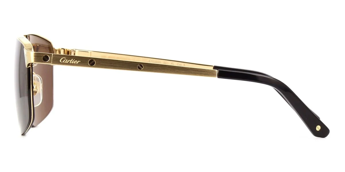 Replica Cartier CT0385S 001