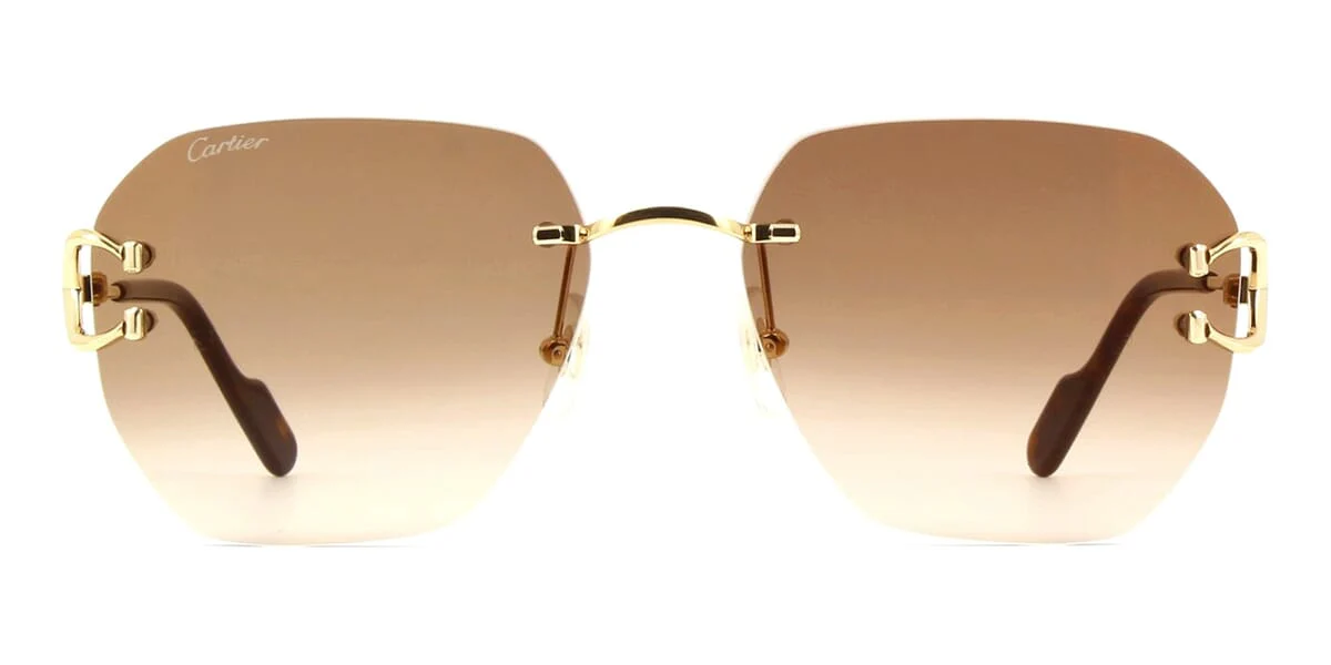 Replica Cartier CT0394S 002