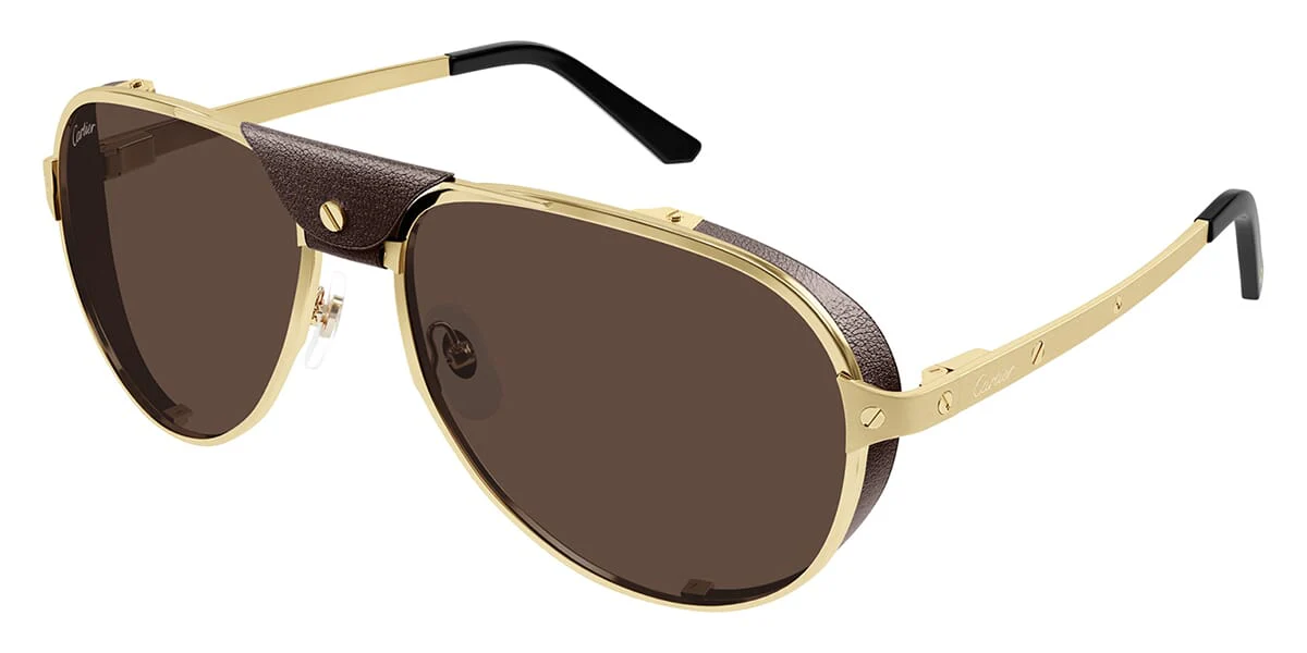 Replica Cartier CT0296S 005 Polarised