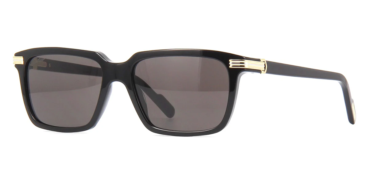 Replica Cartier CT0220S 001