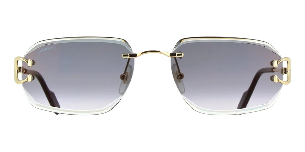 Replica Cartier CT0468S 001