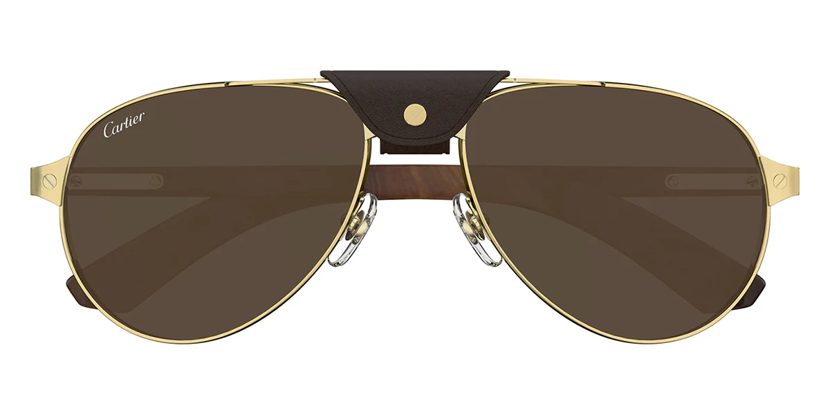 Replica Cartier CT0495S 004 polarised