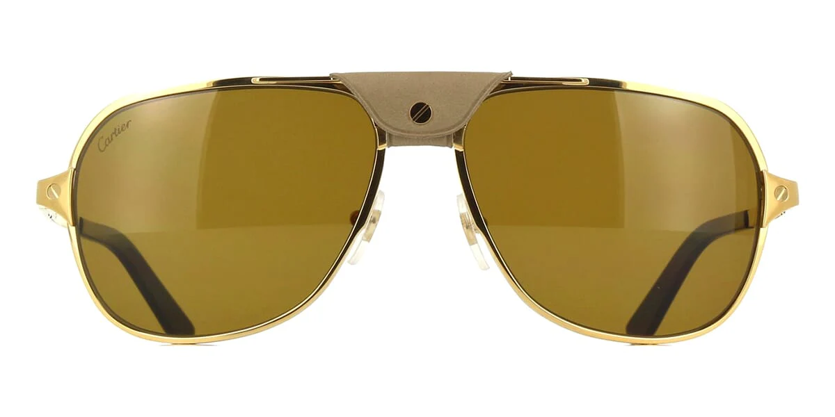 Replica Cartier CT0165S 011 Polarised