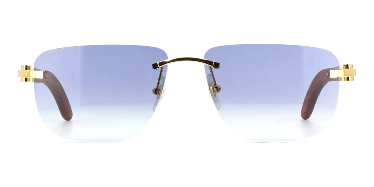 Replica Cartier CT0040RS 001