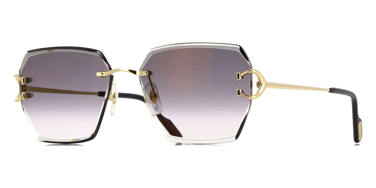 Replica Cartier CT0466S 001