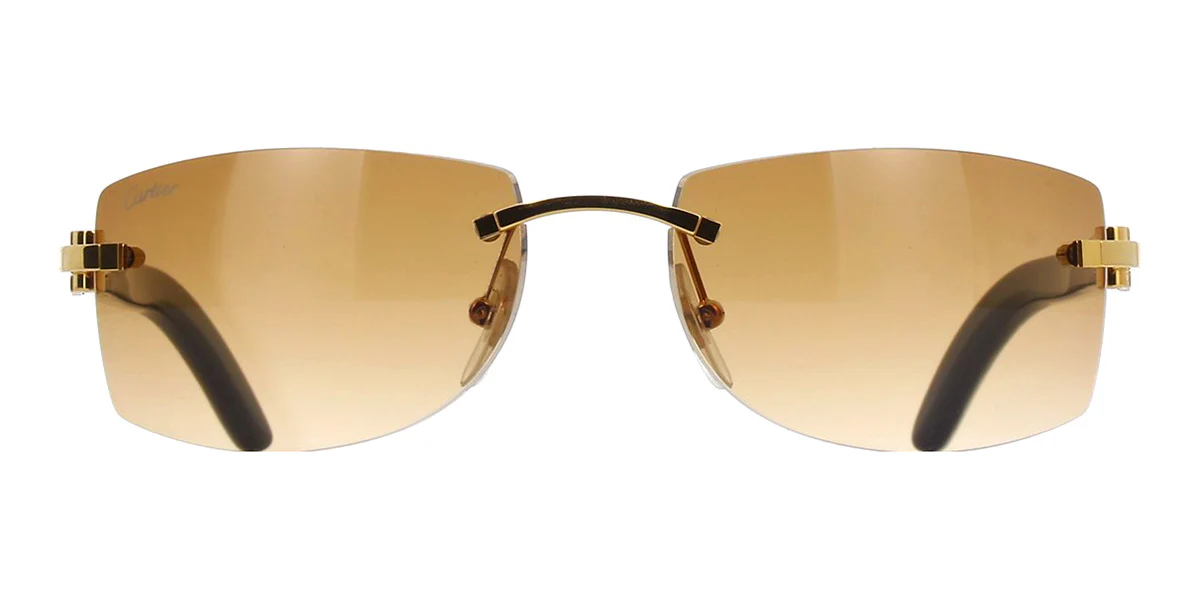 Replica Cartier Buffalo Horn CT0017RS 001 5JS