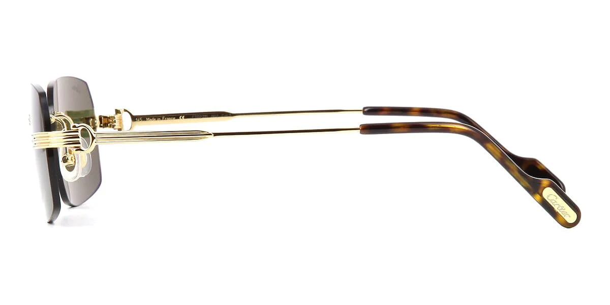 Replica Cartier CT0271S 002