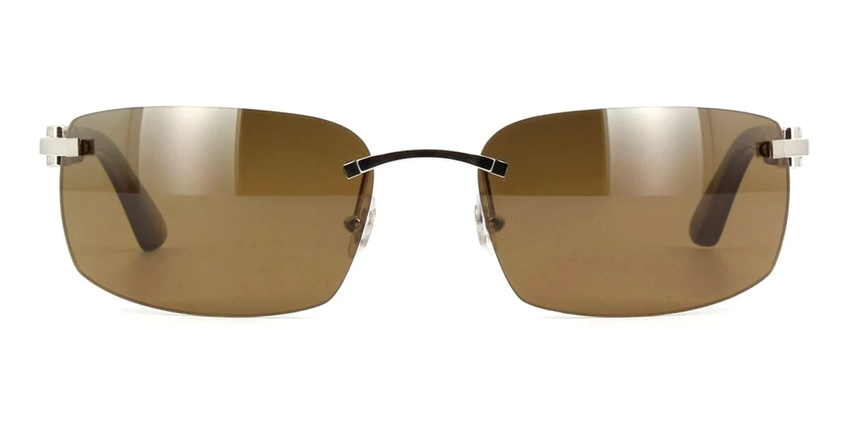 Replica Cartier Buffalo Horn CT0046S 002 3EK