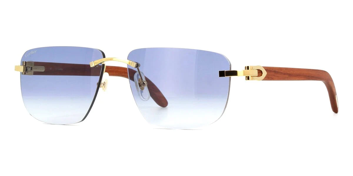 Replica Cartier CT0040RS 001