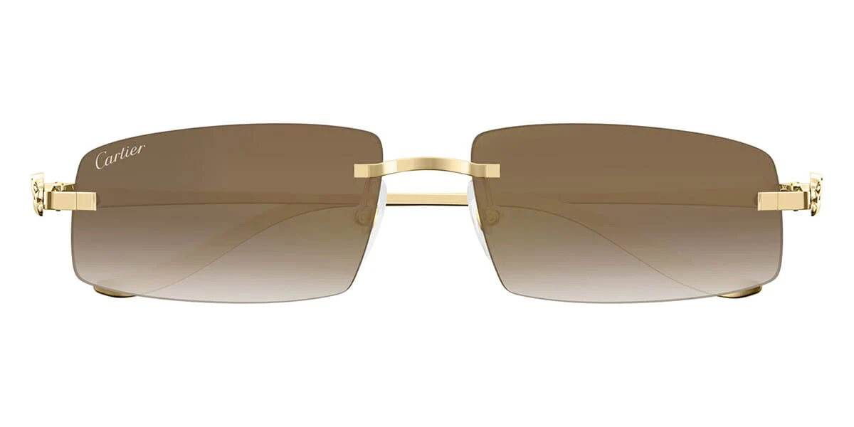 Replica Cartier Panthere CT0505S 003