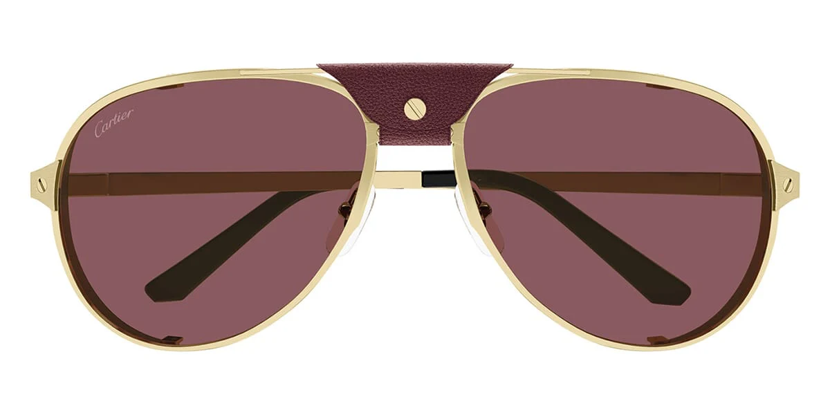 Replica Cartier CT0296S 006 Polarised