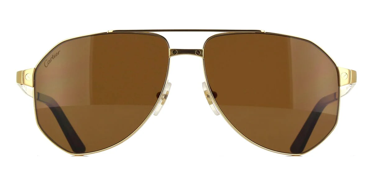 Replica Cartier CT0461S 004 Polarised