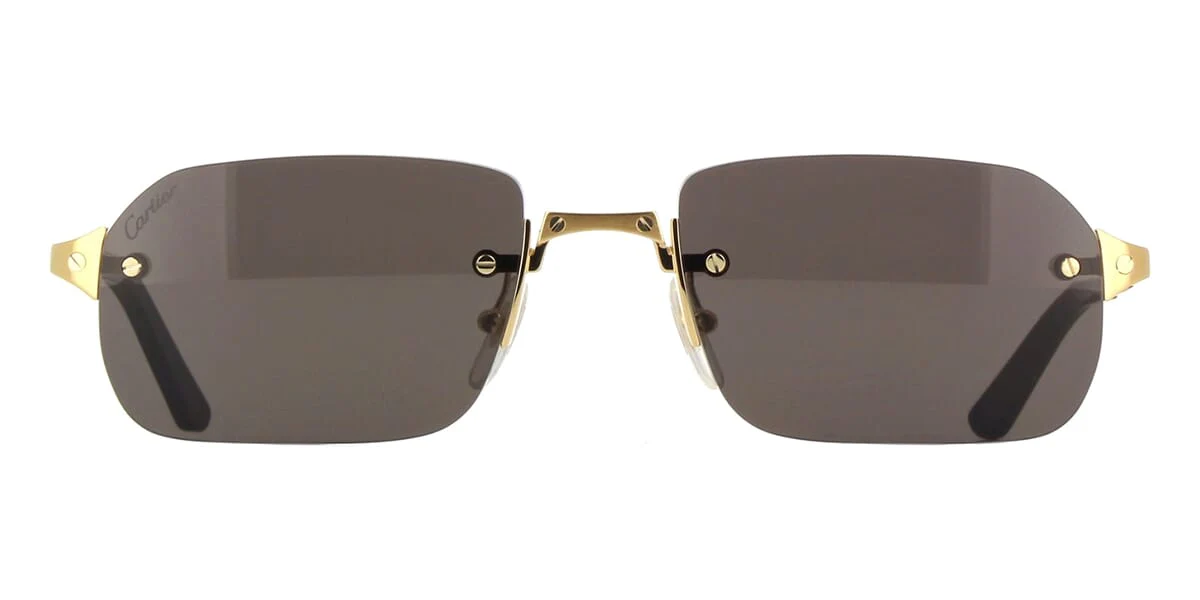 Replica Cartier CT0460S 001