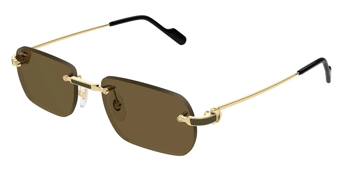 Replica Cartier CT0498S 005