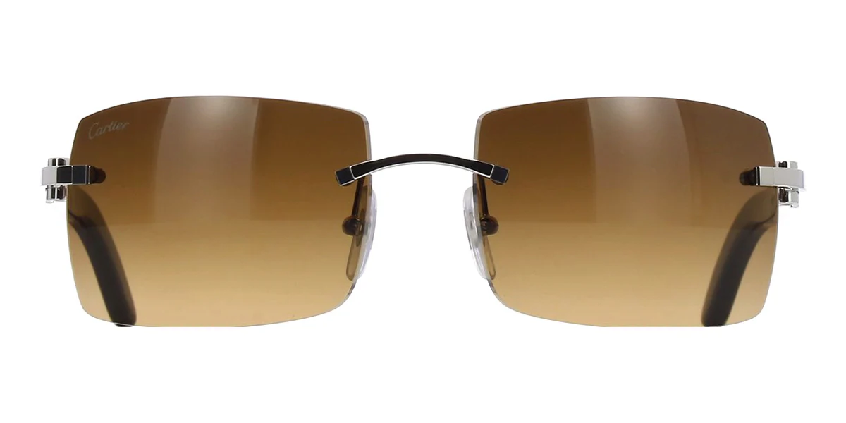 Replica Cartier Buffalo Horn CT0024RS 001 6BY