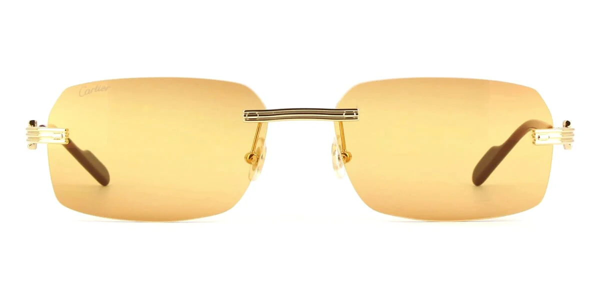 Replica Cartier CT0271S 007