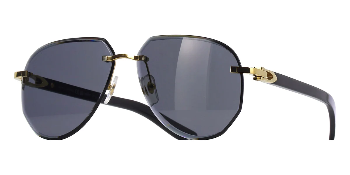 Replica Cartier Buffalo Horn CT0440S 001 1KB