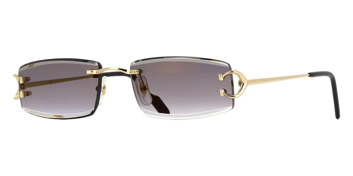 Replica Cartier CT0465S 001