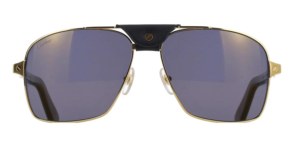 Replica Cartier Buffalo Horn CT0389S 003 5JN Polarised