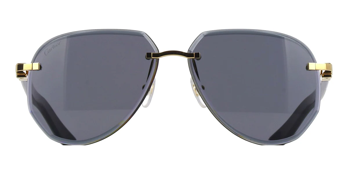 Replica Cartier Buffalo Horn CT0440S 002 1L1