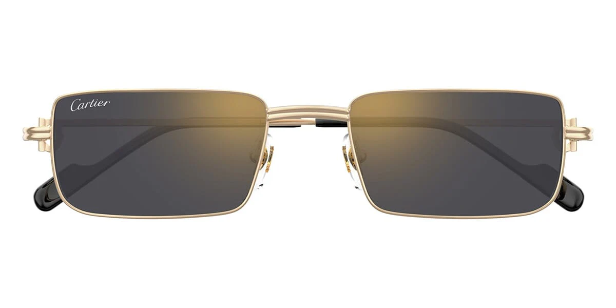Replica Cartier CT0501S 001