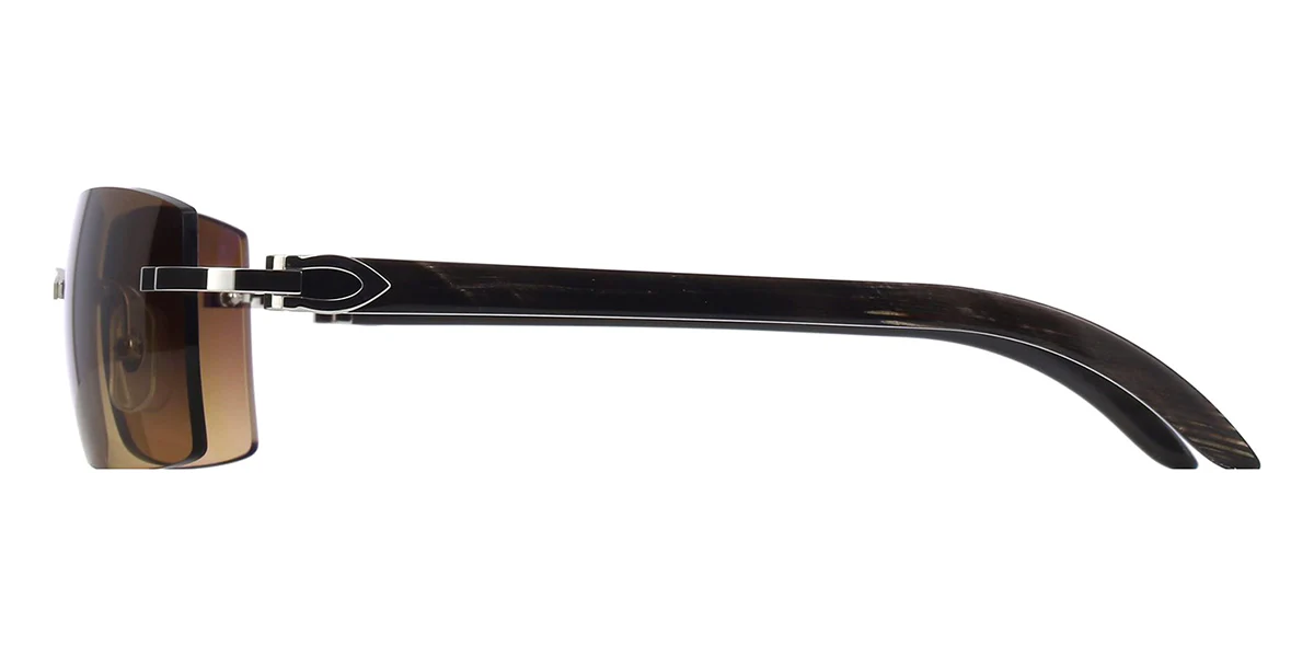 Replica Cartier Buffalo Horn CT0024RS 001 6BY