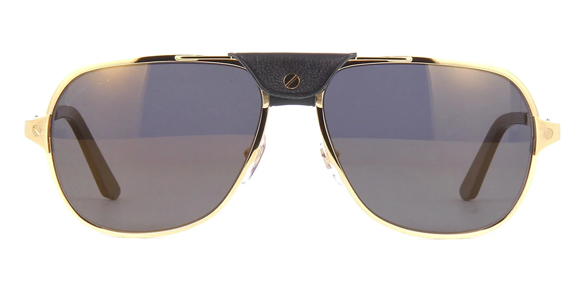 Replica Cartier CT0165S 007 Polarised
