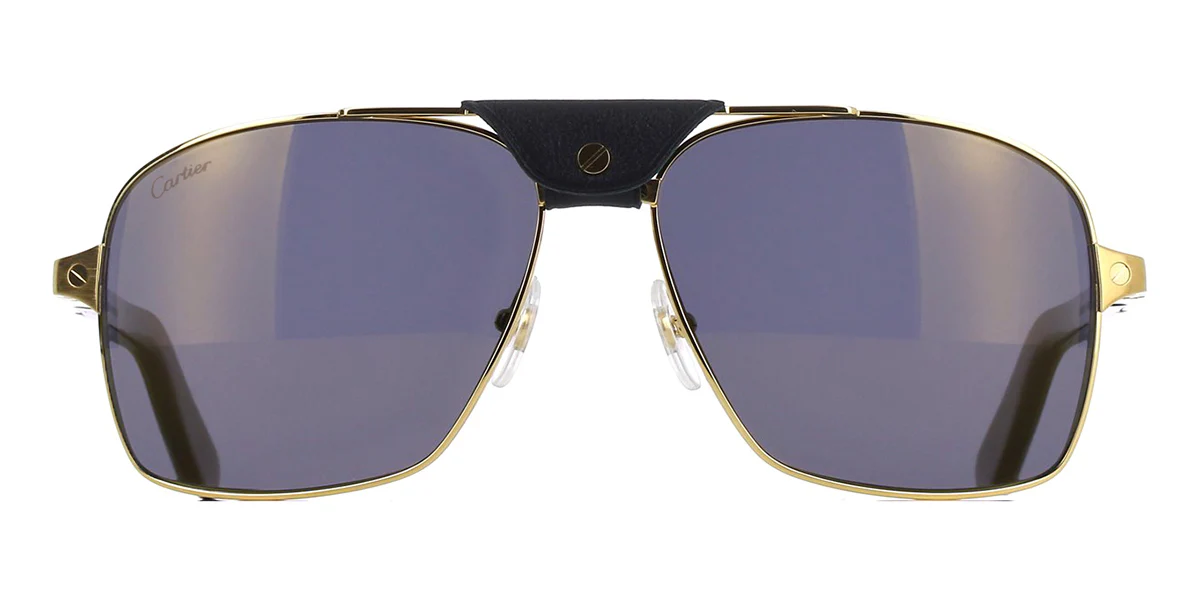 Replica Cartier Buffalo Horn CT0389S 003 8JB Polarised