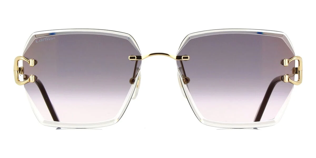 Replica Cartier CT0466S 001