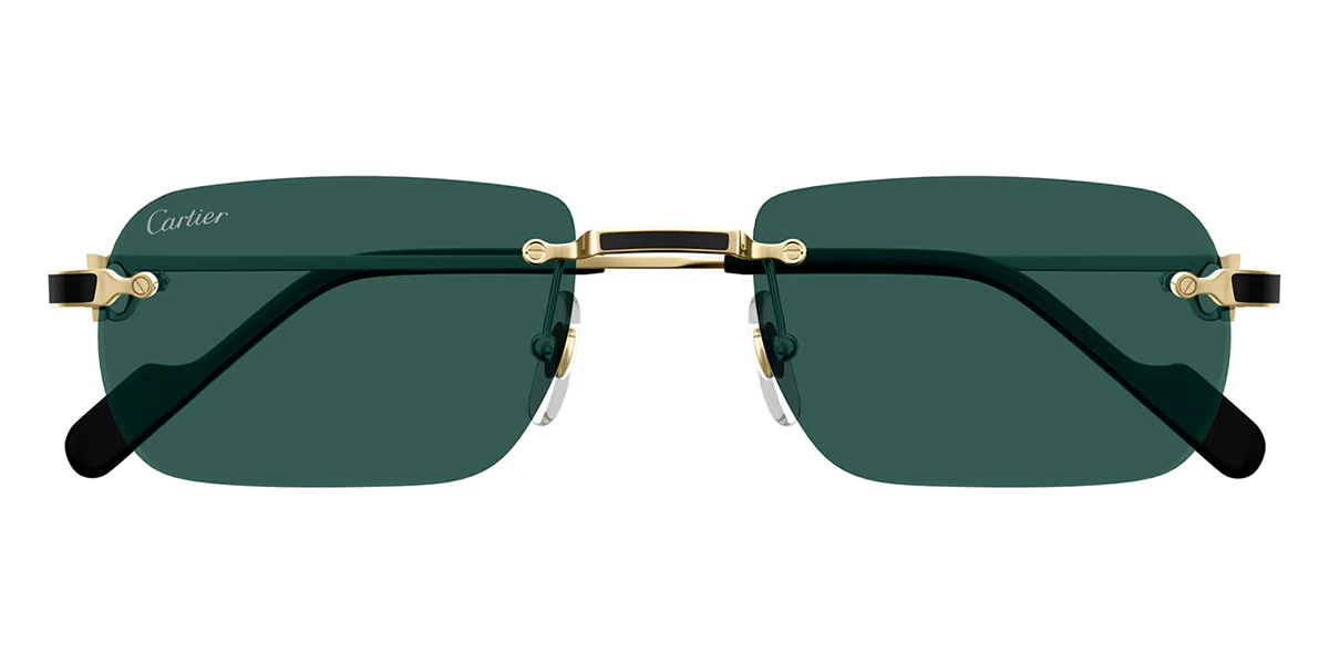 Replica Cartier CT0498S 003