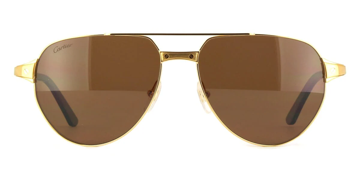 Replica Cartier CT0425S 003 Polarised