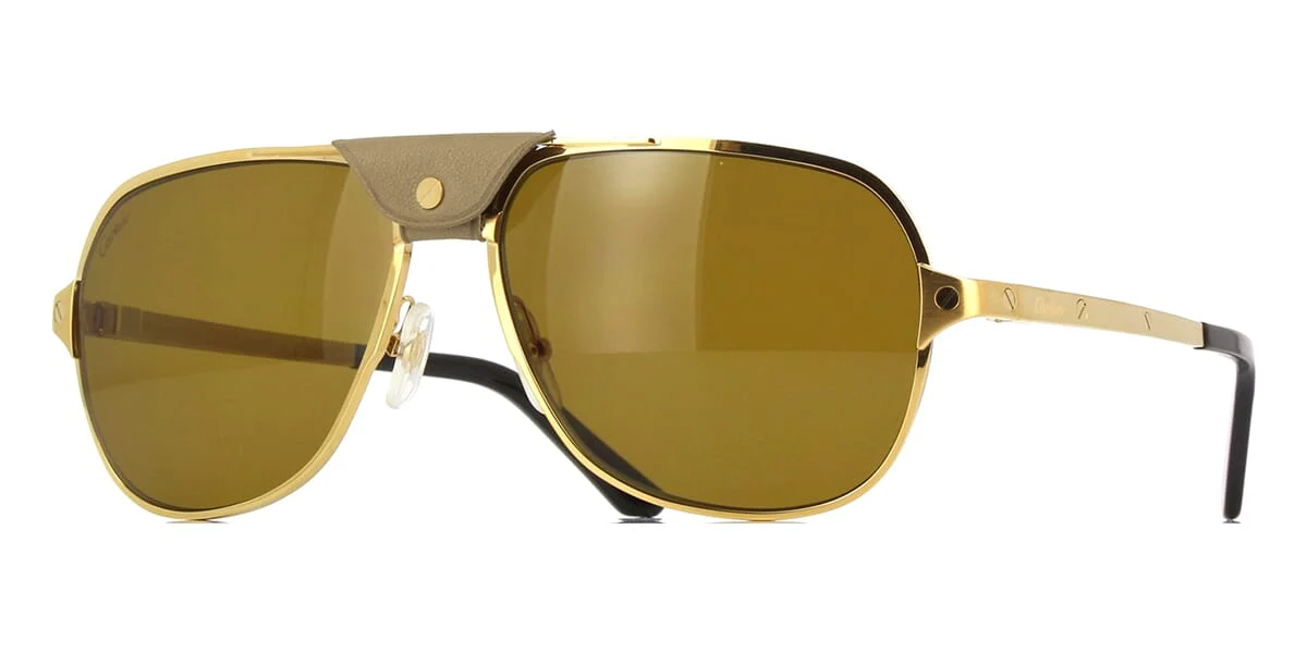 Replica Cartier CT0165S 011 Polarised