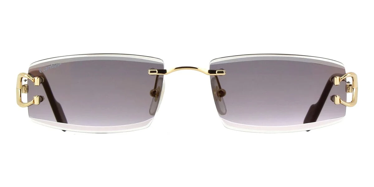 Replica Cartier CT0465S 001