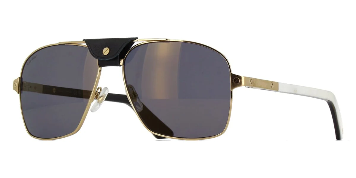 Replica Cartier Buffalo Horn CT0389S 003 9MB Polarised