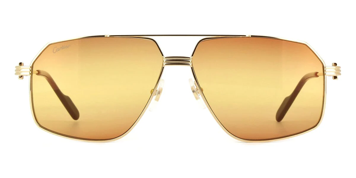 Replica Cartier CT0270S 013