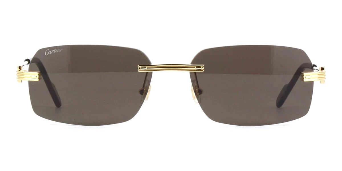 Replica Cartier CT0271S 001