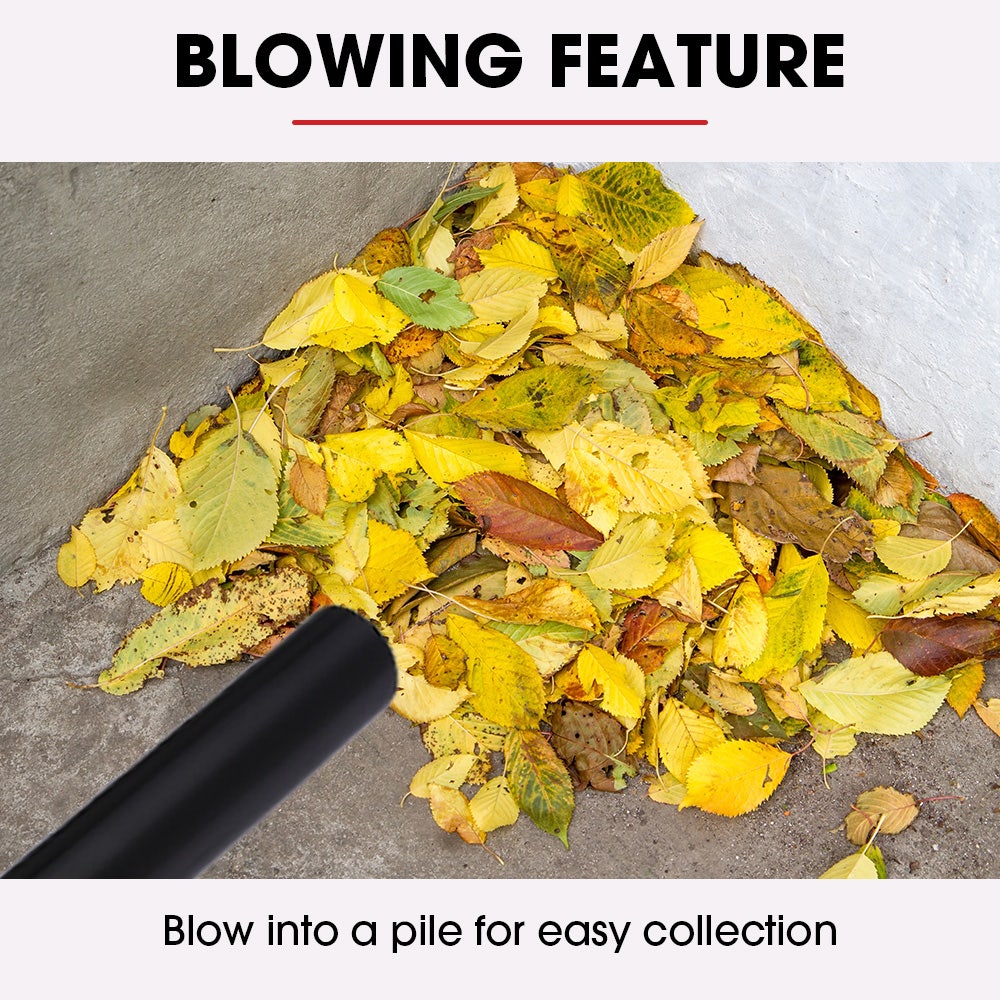 BAUMR-AG 20L Cordless Wet & Dry Vacuum Cleaner Kit, with 4Ah battery and Charger, Blower, HEPA Filter, Accessories, Stainless Steel, for Car, Home, Garage