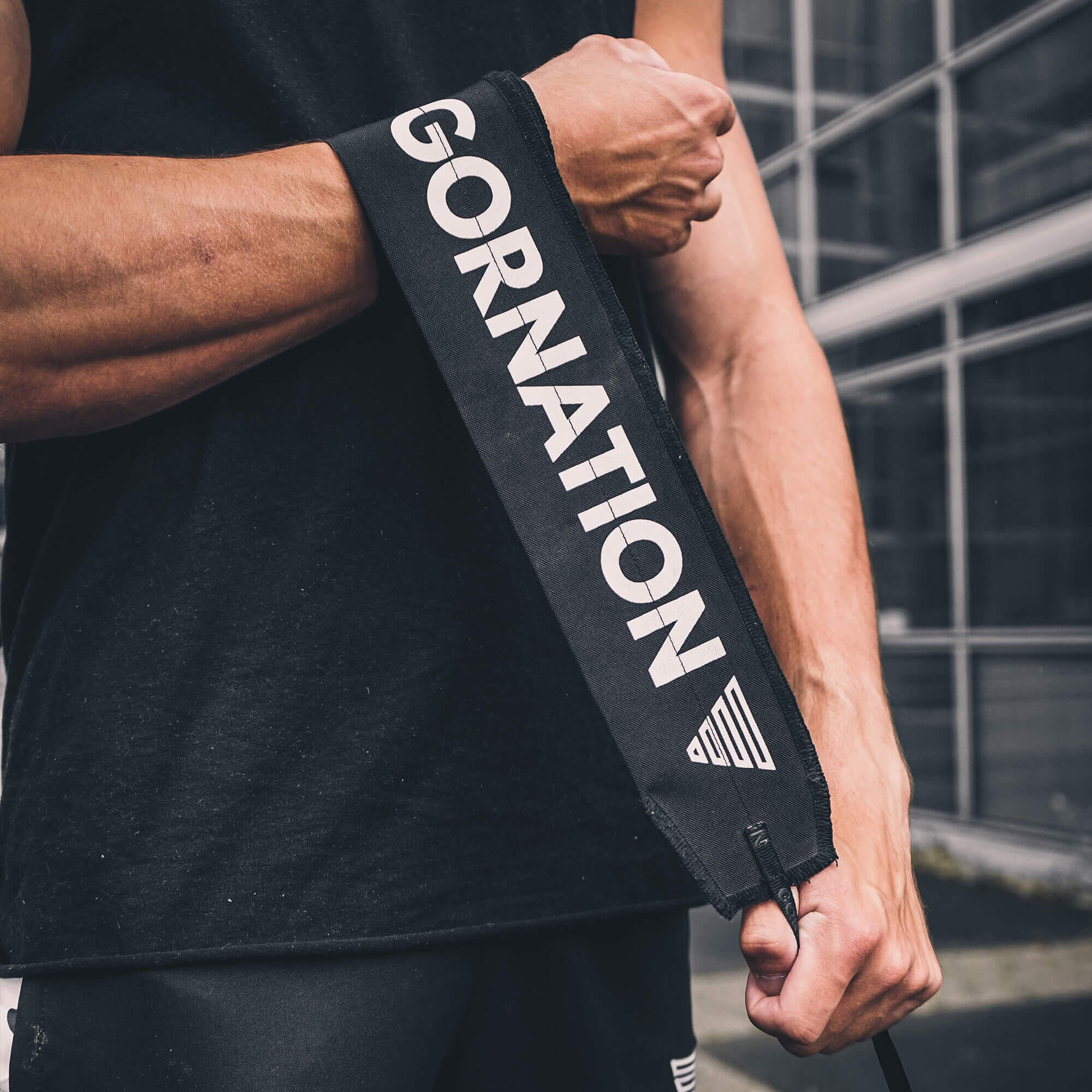 Set di Premium Parallettes