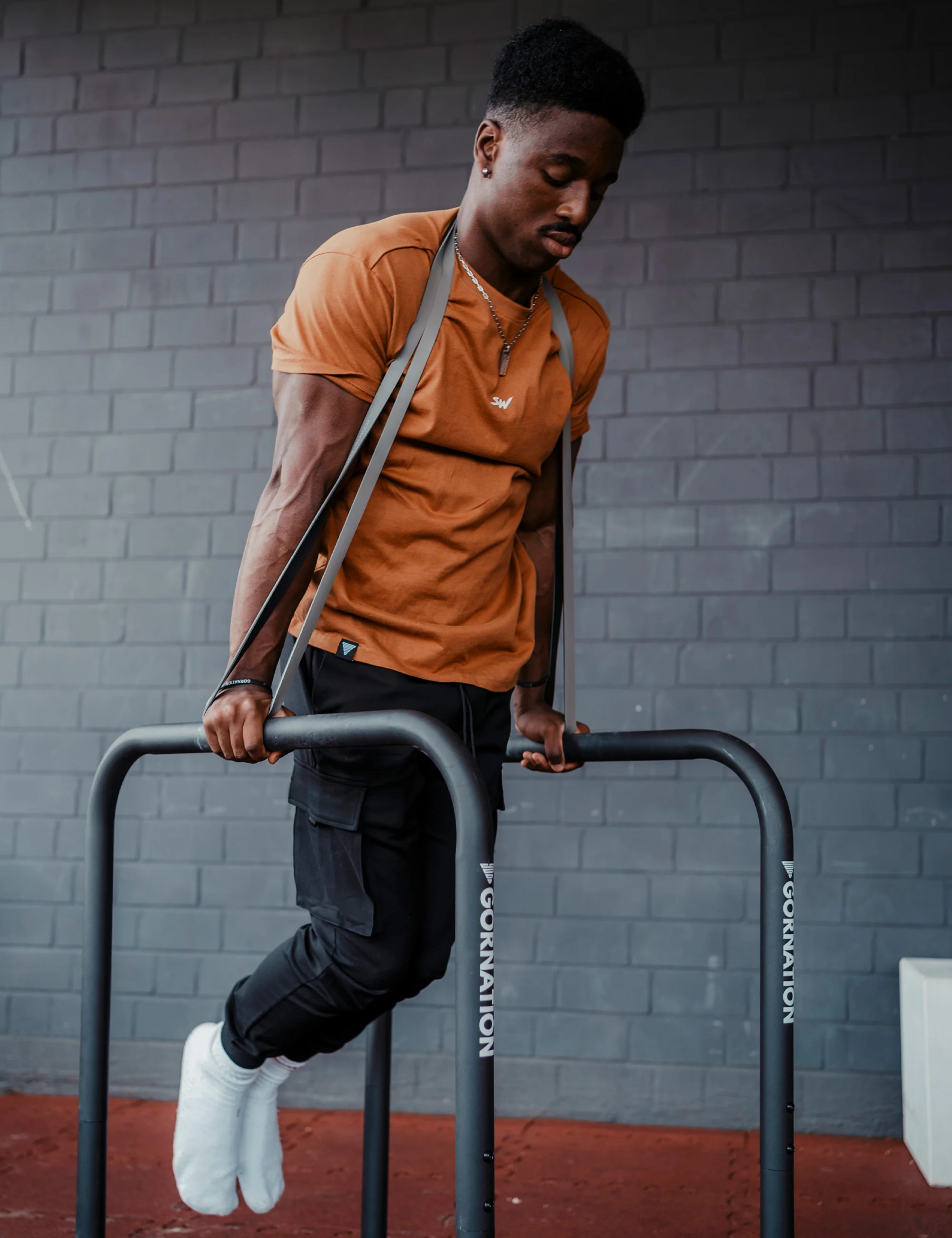 Bande di Resistenza Premium Set