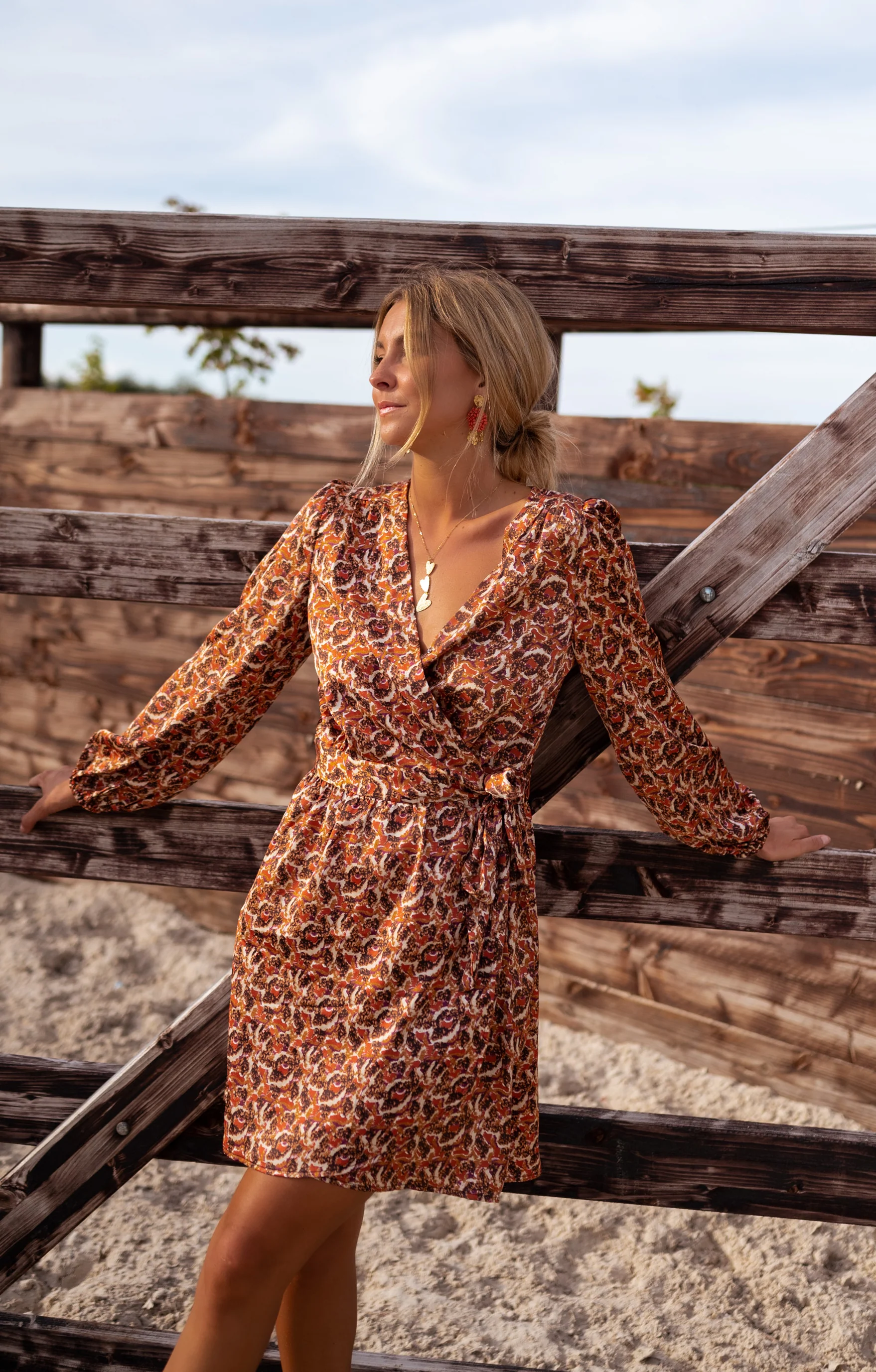 Chocolate Phoenix Dress