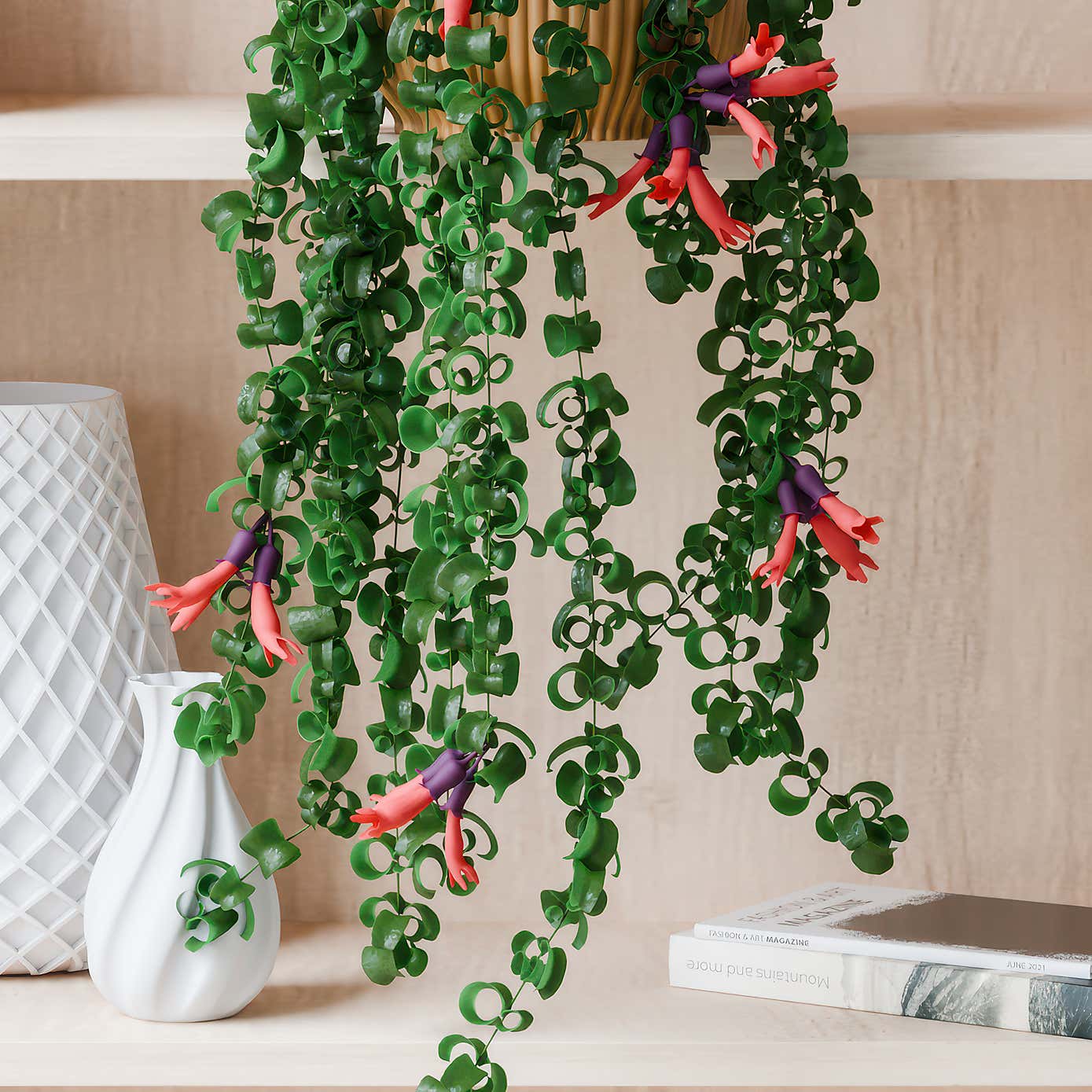 Beards & Daisies Trailing Aeschynanthus Rasta House Plants