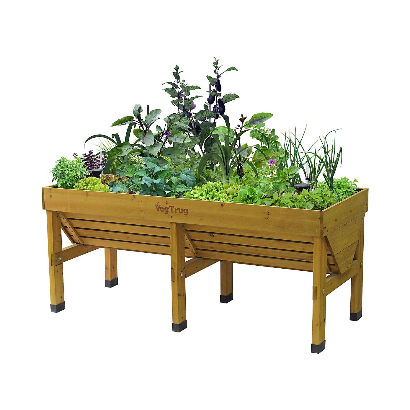 VegTrug Medium Classic Self Watering Kit
