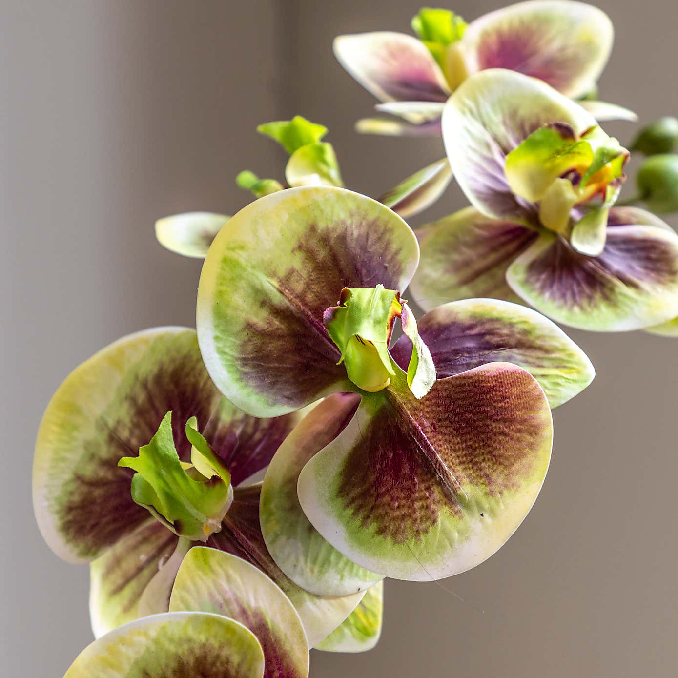 Artificial Multicolour Orchid in Ceramic Pot