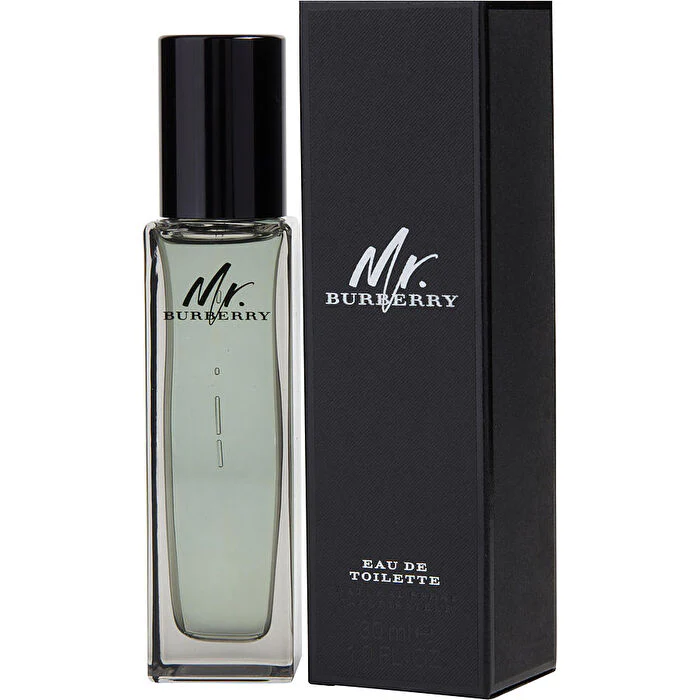 Burberry Mr Burberry Eau De Toilette Spray 30ml/1oz
