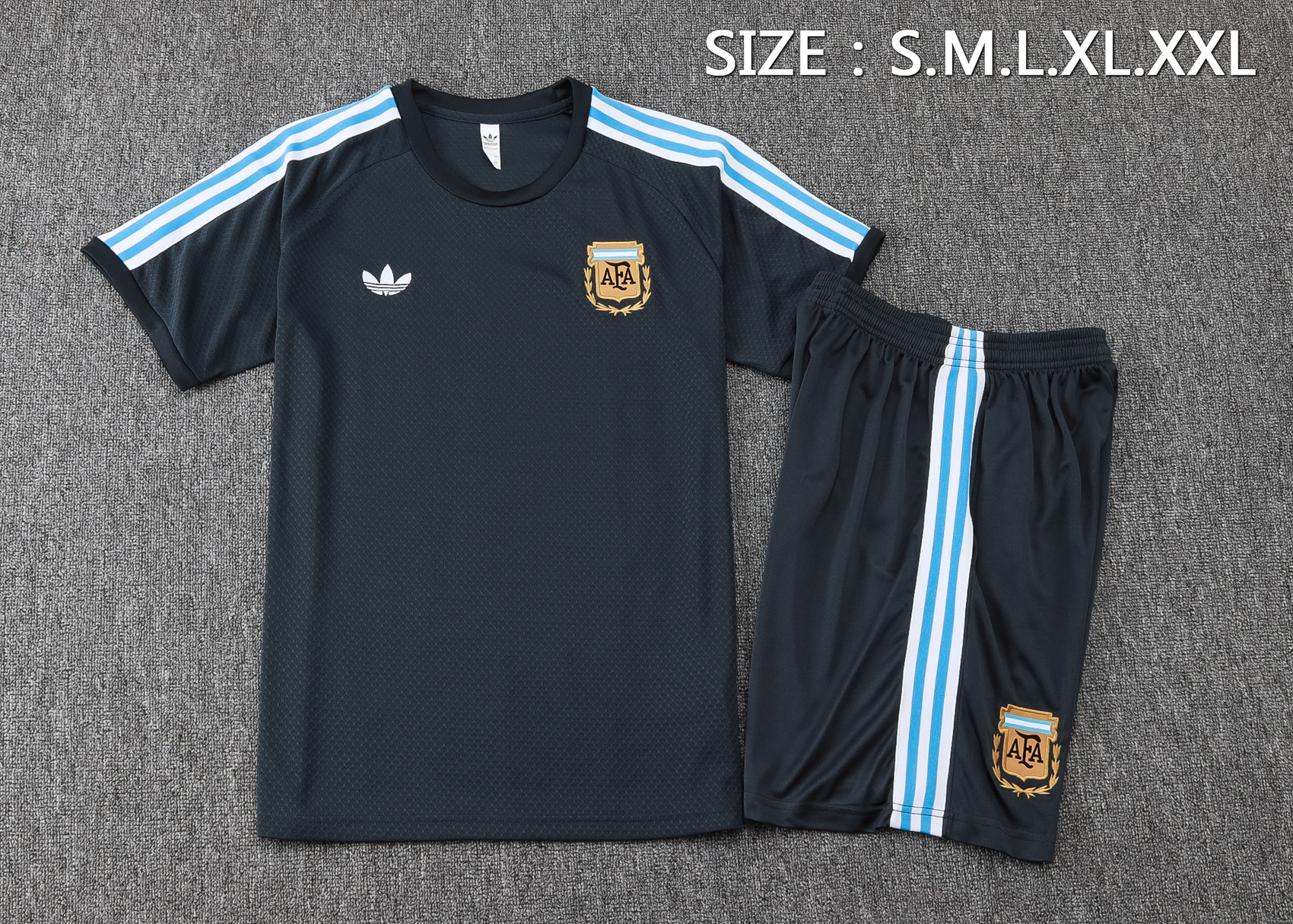 Argentina Training Jersey Kit Gray 2025
