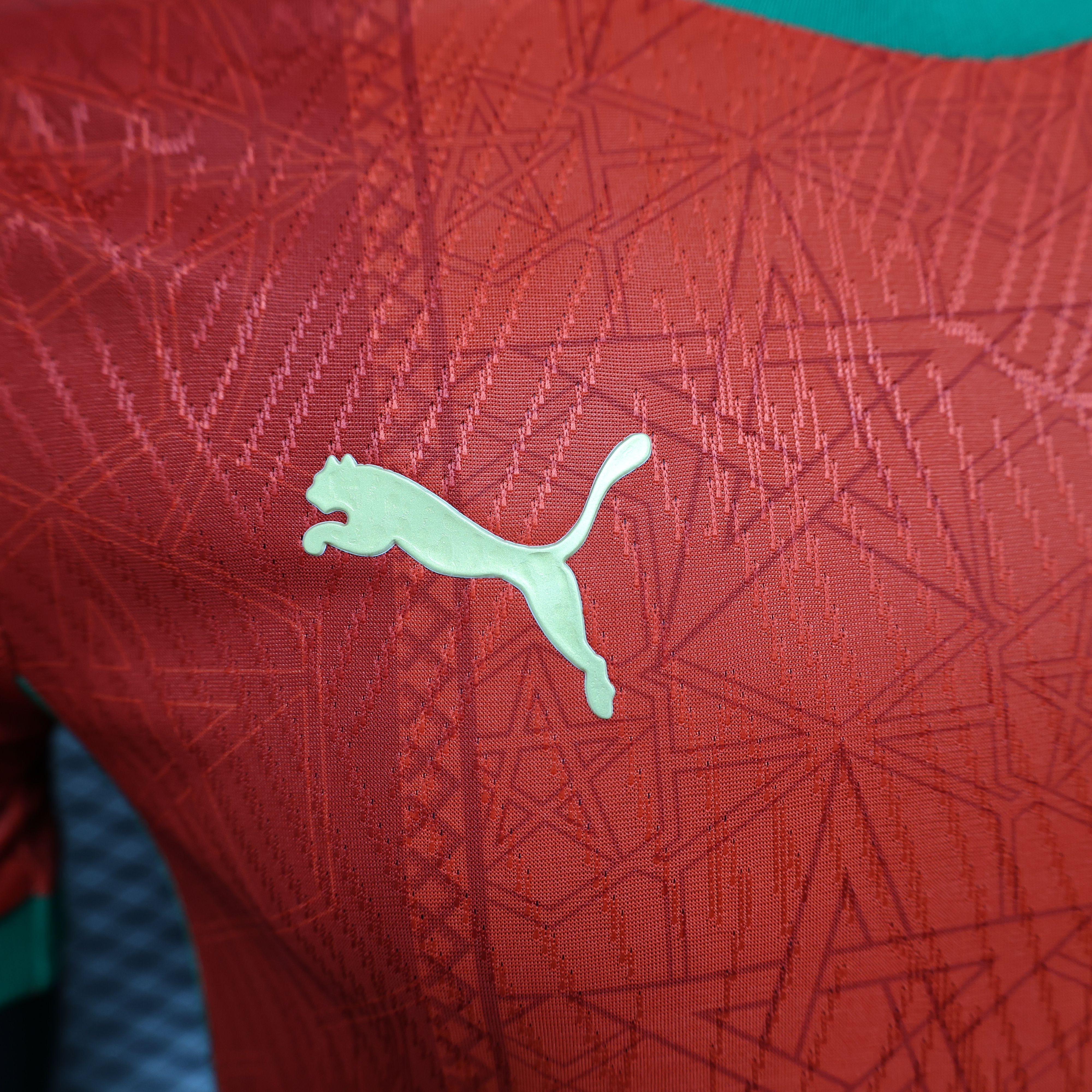 Morocco Authentic Soccer Jersey Home Shirt 2024-25