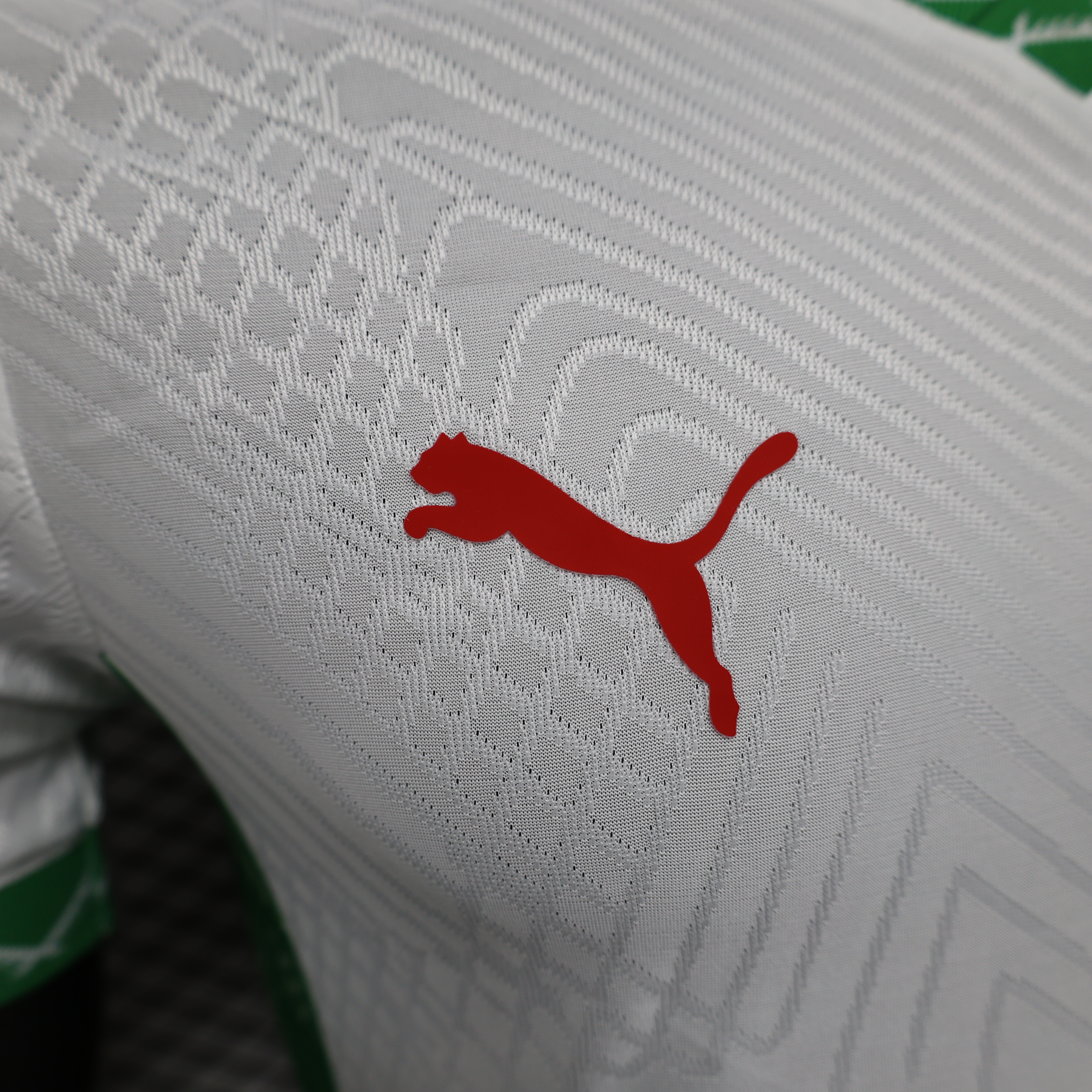 Morocco Authentic Soccer Jersey Away Shirt 2024-25