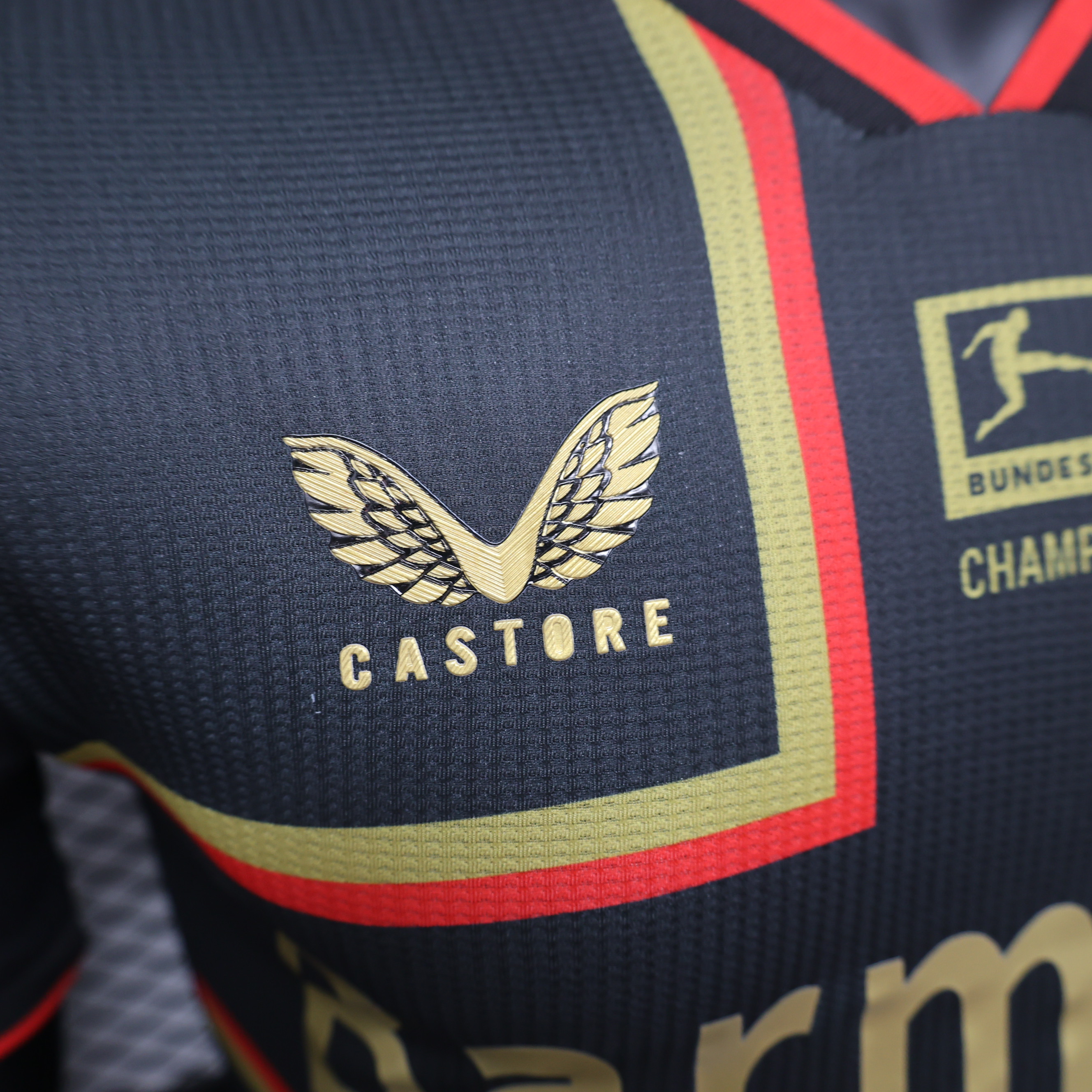 Bayer 04 Leverkusen Authentic Soccer Jersey Champions Special Edition Shirt 2024/25